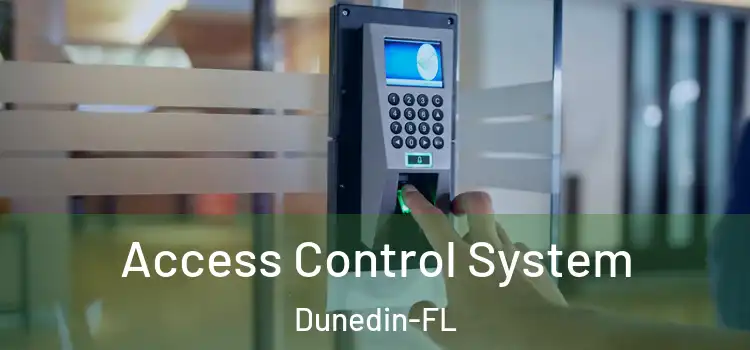  Access Control System Dunedin-FL