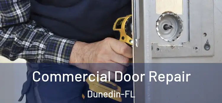  Commercial Door Repair Dunedin-FL