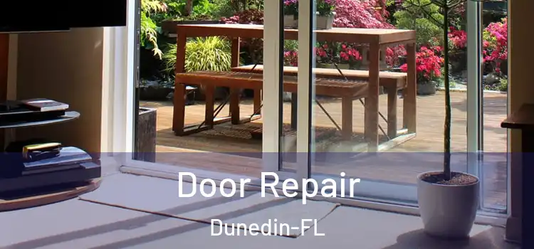  Door Repair Dunedin-FL