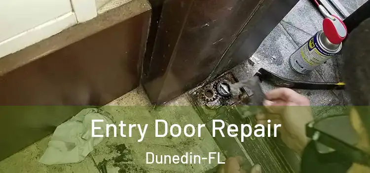  Entry Door Repair Dunedin-FL
