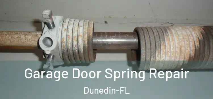  Garage Door Spring Repair Dunedin-FL