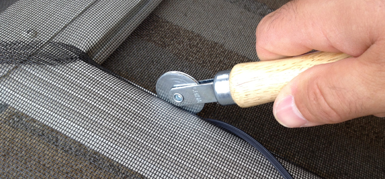 metal screen door repair in Dunedin