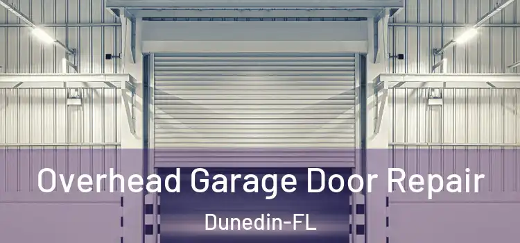 Overhead Garage Door Repair Dunedin-FL