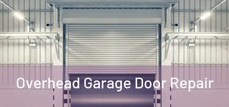  Overhead Garage Door Repair 