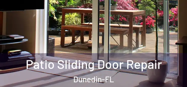  Patio Sliding Door Repair Dunedin-FL