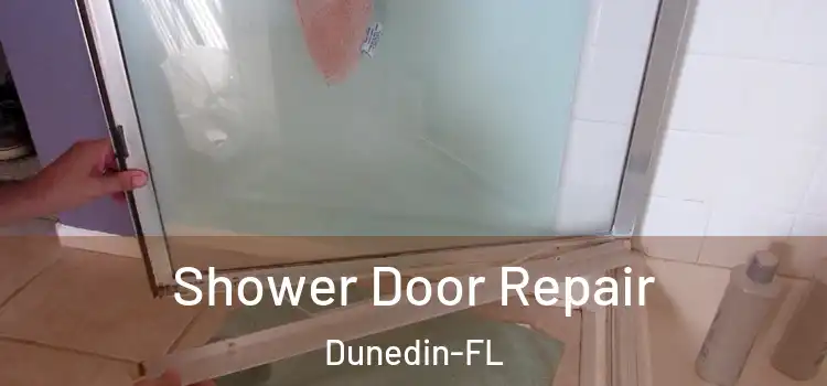  Shower Door Repair Dunedin-FL